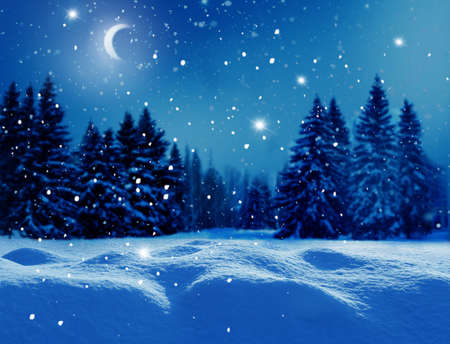 Winter background. Merry Christmas and happy New Year greeting card with copy-space. Christmas night landscape with moon and fir treesの写真素材