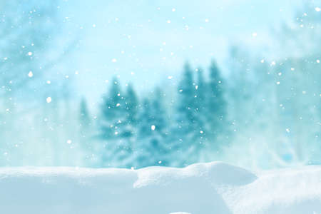 Beautiful winter landscape with snow covered trees.Merry Christmas and happy New Year greeting background with copy-space.の写真素材