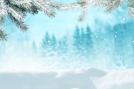 Beautiful winter landscape with snow covered trees.Merry Christmas and happy New Year greeting background with copy-space.の写真素材