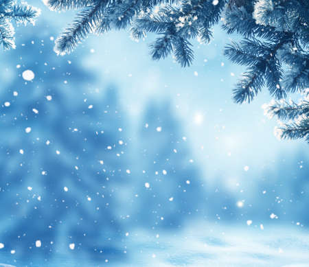 Greeting card with copy-space. Winter landscape with snow and fir trees. Winter background with snow and blurred bokeh.の写真素材