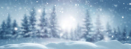 Winter background.Greeting card with copy-space. Winter landscape with snow and fir treesの写真素材
