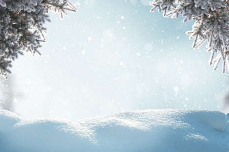 Winter background. Greeting card with copy-space. Winter landscape with snow and fir treesの写真素材