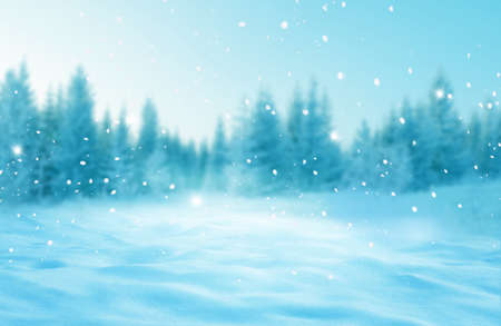 Winter background.Greeting card with copy-space. Winter landscape with snow and fir treesの写真素材