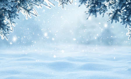 Winter background with fir tree branch .Greeting card with copy-space.Winter background.Winter landscape with snow and fir trees branchの写真素材