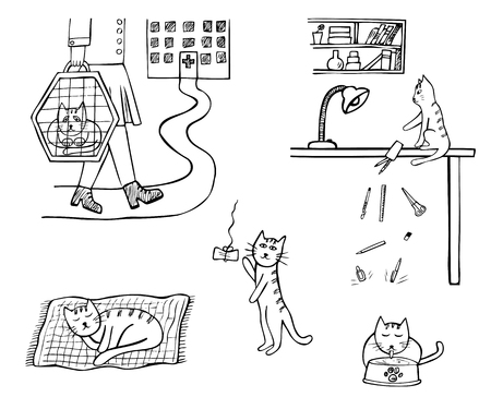 Set of hand-drawn icons of domestic cat life. Sketched doodle black and white vector illustration isolated on white backgroundのイラスト素材