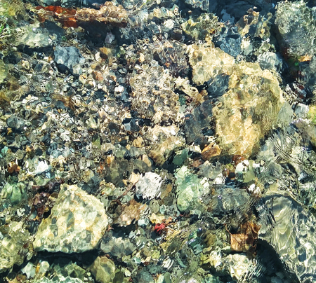 Top view of transparent clear water of river or creek with pebble stones. Abstract nature backgroundの写真素材