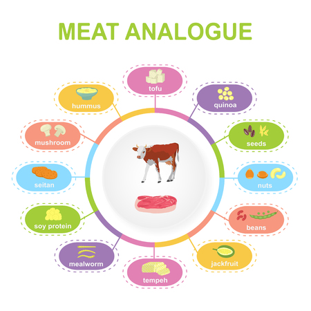 Infographic with meat alternative or analogue. Soy food, nuts, vegetables etc. Color vector illustration isolated on whiteのイラスト素材