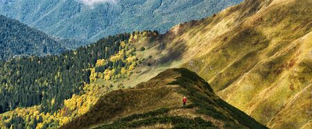 Active man with trekking poles walking on hills at panoramic forest and mountains backgroundの写真素材