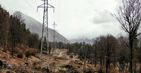 Overhead power line along road at panoramic autumn landscape backgroundの写真素材