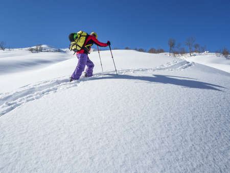 Active man ski touring on mountain skis or splitboard at winter dayの写真素材