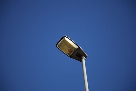 Single streetlamp filled with bugsの写真素材