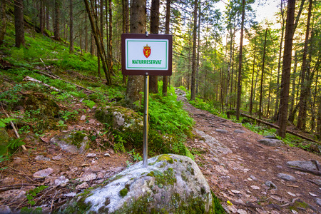 Nature reserve sign in the forest in Tovdal. Norwegian landscape.の写真素材