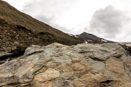 Fossil leaves on a rock on Spitsbergen on Svalbard island Norwayの写真素材