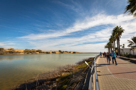 Maspalomas in Gran Canaria, Spain - December 11, 20017: La Charca, bird observation place in Maspalomas Dunes nature reserve. Promenade walk with tourists on the right side.のeditorial素材