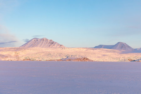 The Nordenskiold glacier in Billefjorden at Svalbard, Norway.の写真素材