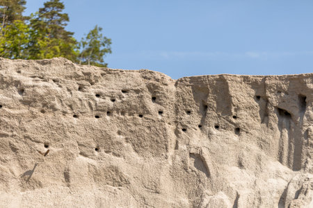 Nesting place for the European Sand Martin, or Bank swallow - Riparia riparia - nest colony against a blue sky in Kristiansand, Norway.の写真素材