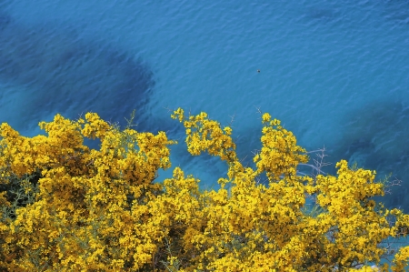 Along the coast appears this beatiful contrast of colors の写真素材
