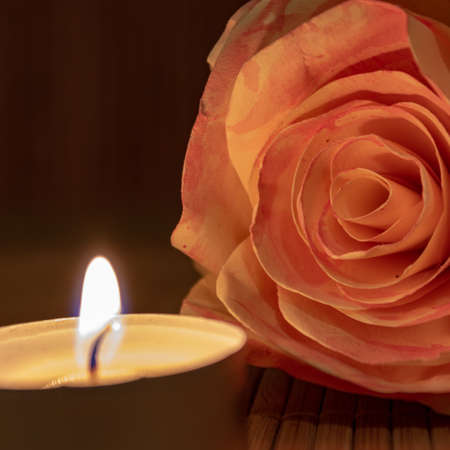 burning candle and rose petals in darkness, close up, copy space. Romantic concept for valentines day or spa background.の写真素材