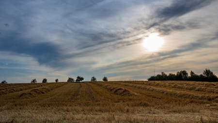 Tranquil agricultural landscape with hay on field and blue sky in summer in MÃ¶ckmÃ¼hl, Germanyの写真素材