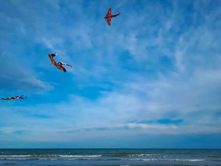 colorful kites flying in the blue sky at the beach of Italyの写真素材