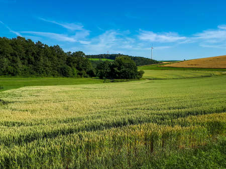 rural landscape with green field and blue sky in the afternoon in Nassau, Germanyの写真素材
