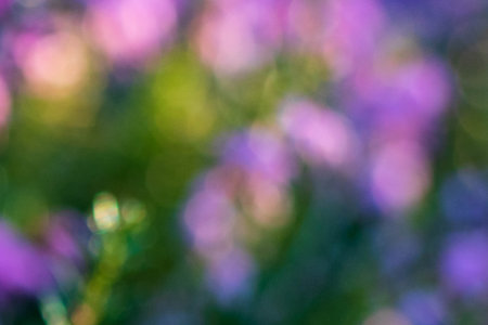 purple and green bokeh background.の写真素材
