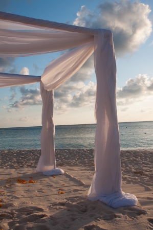 Tropical settings for a wedding on a beachの写真素材