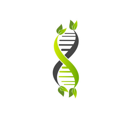 dna vectorのイラスト素材