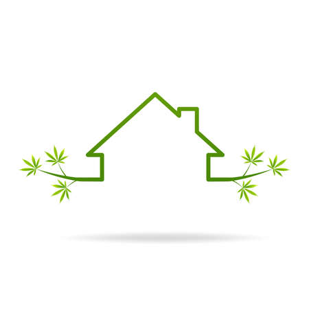 Medical marijuana plantconcept symbol with cannabis plant with leaves intertwined aroundのイラスト素材