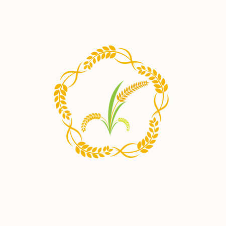 Design Orange brown paddy rice premium naturalのイラスト素材