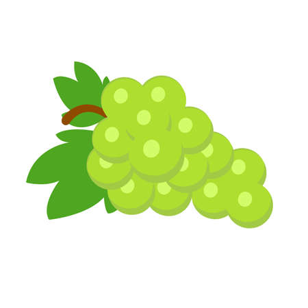 Raspberries, strawberries, grapes, currants and blueberries. Lemon, peach, apple, pear, orange watermelon avocado and melon set Vector illustration berries and fruits in cartoon style.のイラスト素材