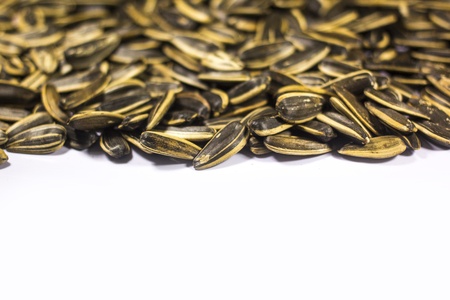 Sunflower Seeds Isolated on Whiteの写真素材