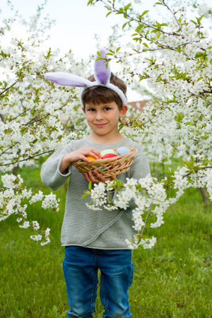 Easter egg hunt. Cute preschool boy wearing bunny ears holding full basket of Easter eggs in hands at Easter egg hunt in garden. Portrait against background of flowering trees. Easter traditionの写真素材