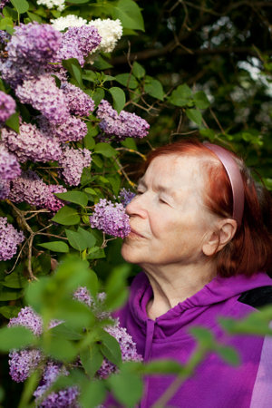 Outdoor close-up portrait of old woman. Beautiful elderly woman against background of blooming lilacs in spring park. Elderly lady woman enjoying the scent of spring flowers in her gardenの写真素材