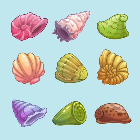 Set of cartoon shellsのイラスト素材