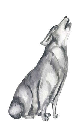 illustrations for the book about Little Red Riding Hood, hunter, grandmother, wolf, basket, houseの写真素材