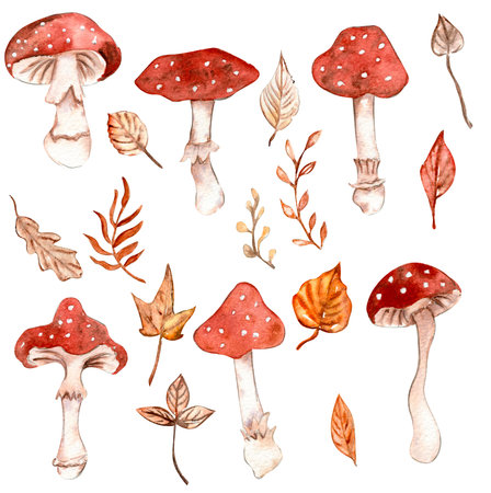 Watercolor hand drawn autumn leaves and mushrooms. Hand drawn illustration of autumn. Perfect for scrapbooking, kids design, wedding invitation, posters, greetings cards, party decoration.の写真素材