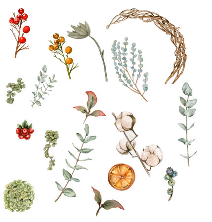 Set of elements for Christmas. Lemon, eucalyptus, berry. fir branches. Watercolor hand drawn illustration. winter holiday.の写真素材