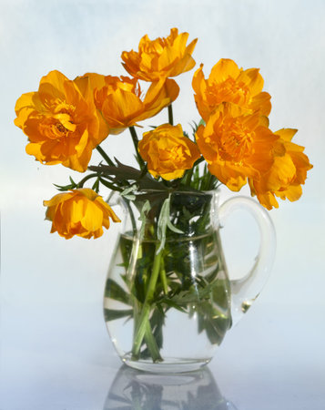bouquet of flowers Globeflowers Orange 