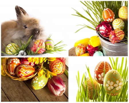 Happy Easter - baby rabbits and easter eggs の写真素材
