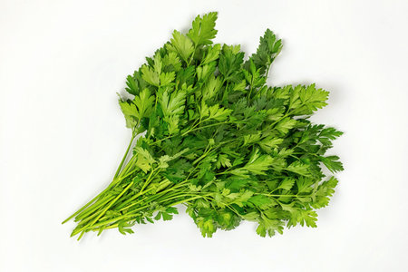 Parsley bunch isolated on white background. Parsley herb leavesの写真素材