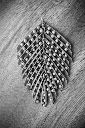 green peas, open pea sticks. monochromeの写真素材