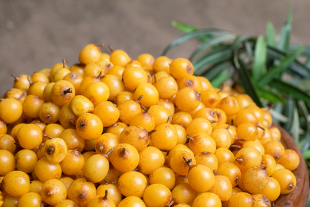 Buckthorn, Sea buckthorn berries in a bowlの写真素材