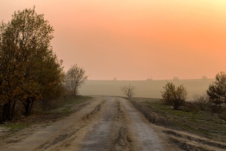 beautiful Ukrainian landscape. Road to the villageの写真素材