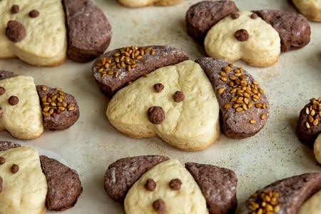Cookies in the form of a dog on a white background. Symbol of the new year 2018.の写真素材
