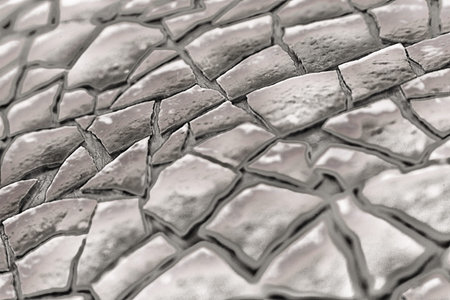 The texture of pieces of eggの写真素材