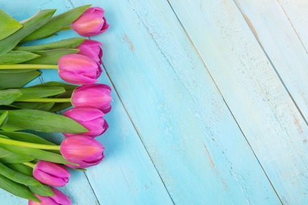 Pink tulips on wooden blue background. Conception holiday, March 8, Mothers Day. Flat lay and copy spaceの写真素材