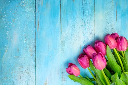 Bouquet of tulips on blue wooden table. Happy womens day. 8 March., Mothers Day. Flat lay and copy spaceの写真素材