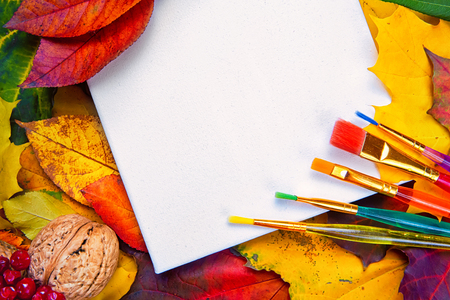 Autumn background of yellow and colored leaves,の写真素材