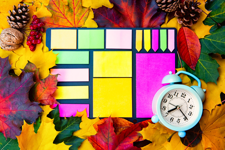 Autumn background of yellow and colored leaves, cones and nuts. place for text.の写真素材